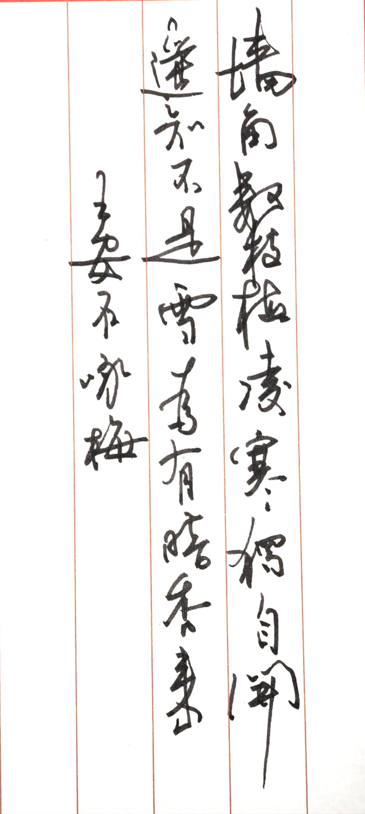 写五言古诗，这是王安石的梅花
行草笔法流畅连贯，牵丝映带自然，书写节奏一气呵成，