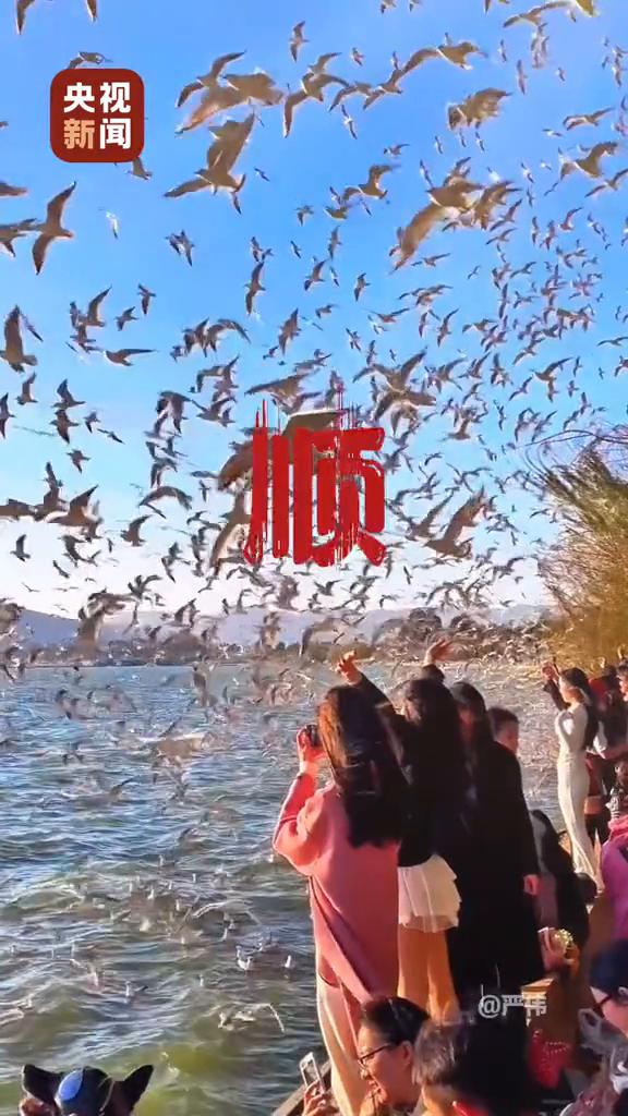 洛邑小散仙儿。
好运常在，事事皆顺。