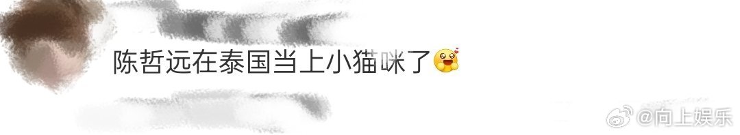 陈哲远在泰国当上小猫咪了 陈哲远在泰国戴上猫耳，变身小猫咪。不止是现场粉丝欢呼，