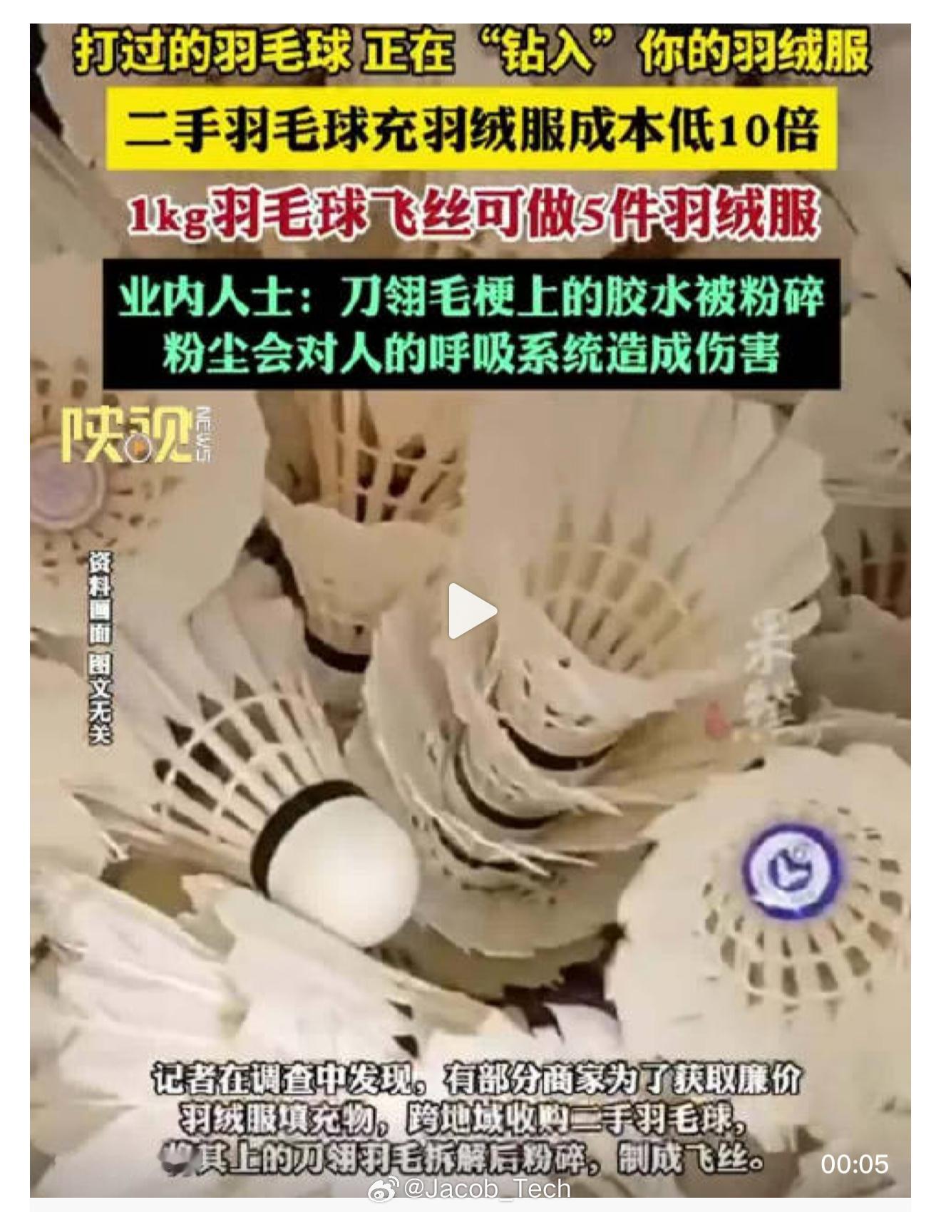 曾经打过的羽毛球正钻入你的羽绒服 不是？这死什么鬼东西呀羽毛球的毛？代替羽绒服的