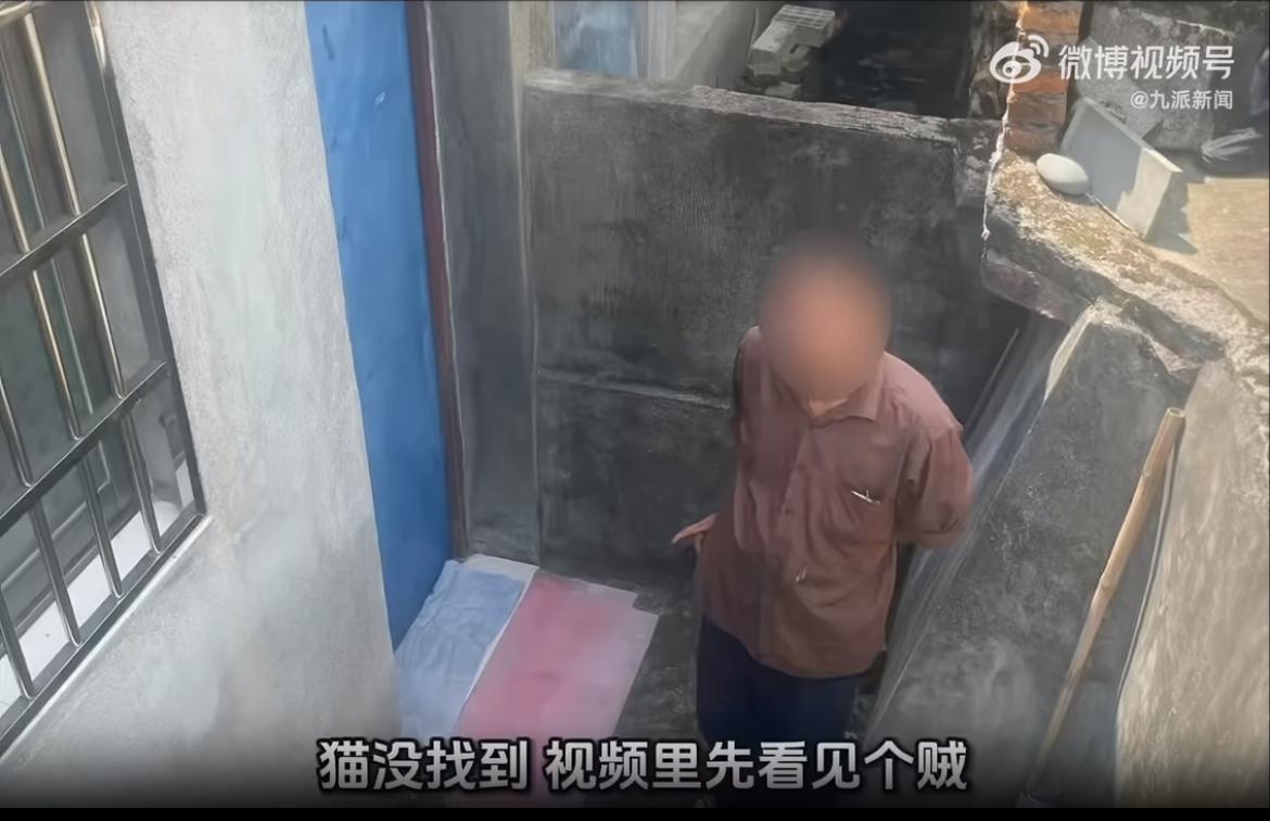 宁波东吴镇的李阿姨调监控找猫，猫没找到，先看见邻居赵某凌晨四点在自家客厅晃。这男