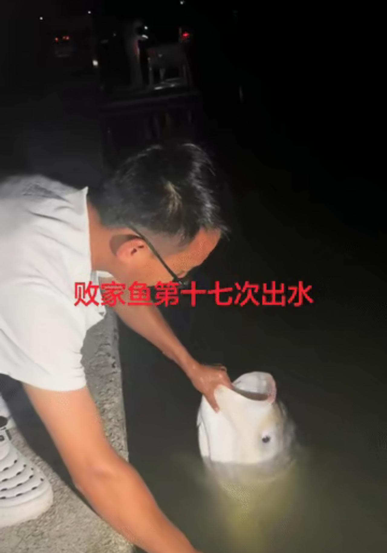 全网爆笑！鱼塘“败家鱼”被反复钓起17次，凭实力亏哭老板，堪称鱼中老六

笑不活