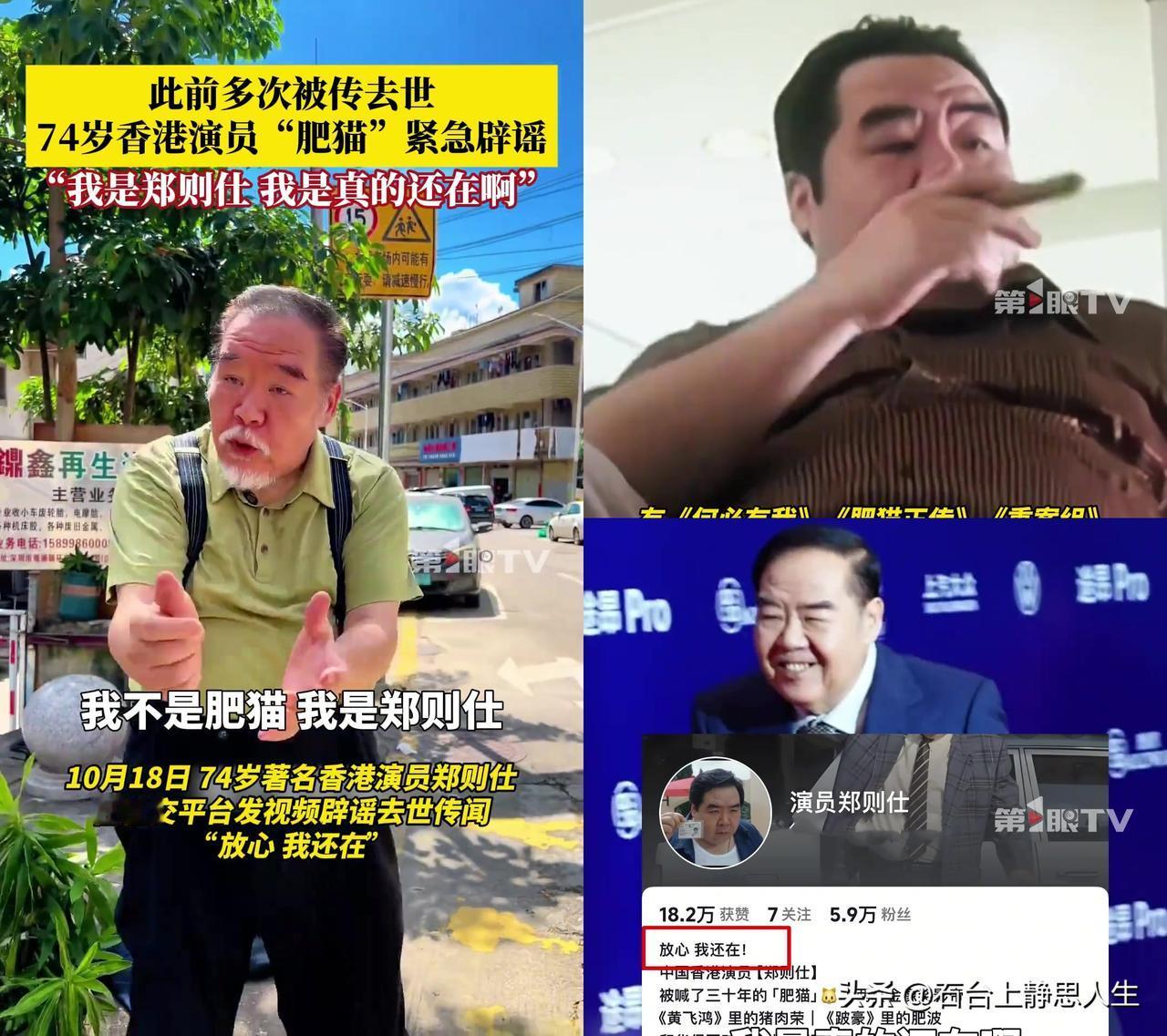 有没有人跟我一样？明明记得肥猫去世好多年，还刷到过葬礼照片、艺人悼念的新闻，结果