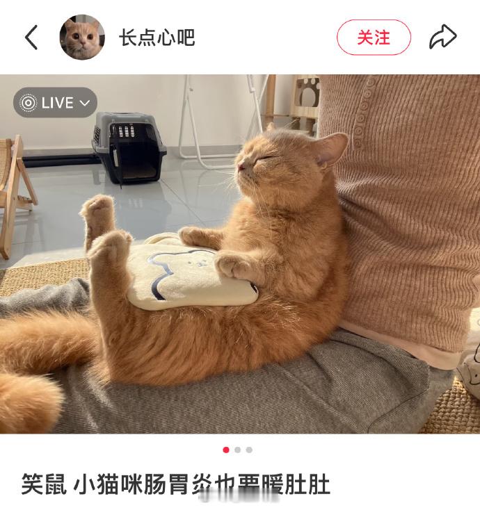 抱着热水袋睡得更香。 
