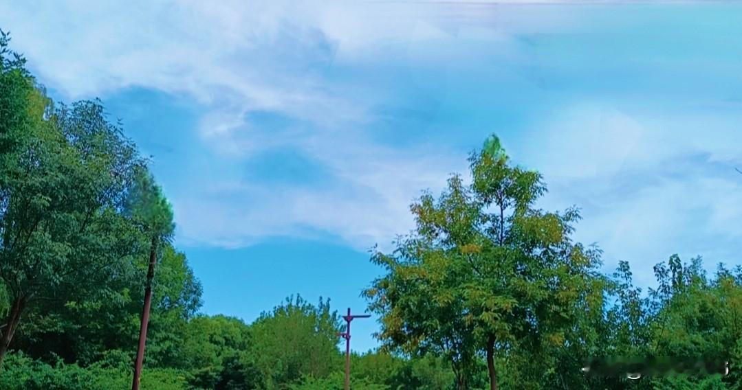 这是用手机拍摄的天空，蓝天白云，绿树成荫，像国画一样，美丽动人，于是就随手记录了