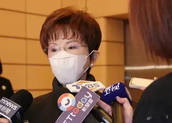 洪秀柱喊话别“投白”，以免白白浪费选票！   
    2024大选投票前一天，