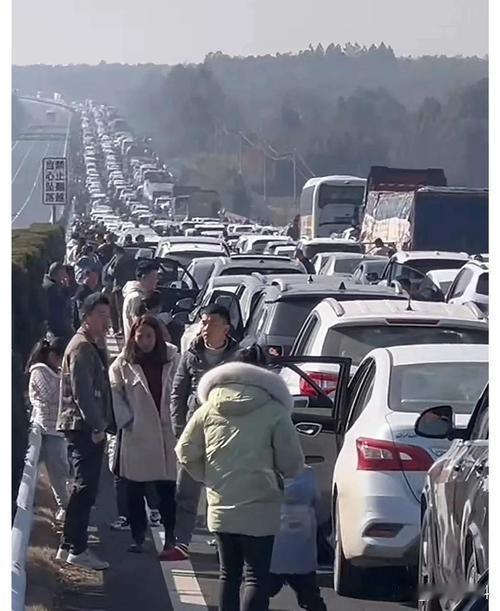 2026年春节高速免费首日夜间，全国多条高速迎来出行高峰。车主实拍显示，路面车流