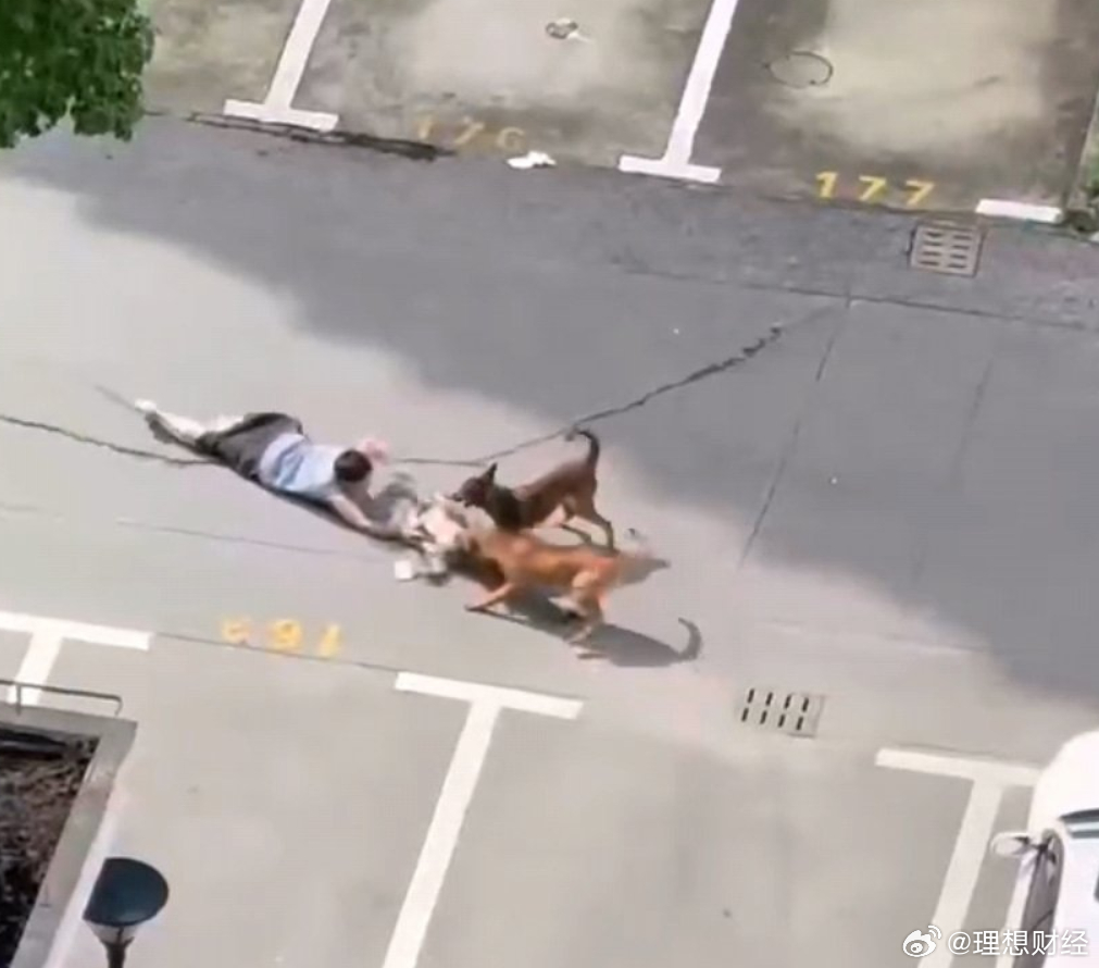 上海警方通报两犬撕咬幼童拖行看完这起恶犬撕咬小孩的通报实在揪心，真是气煞人也。这