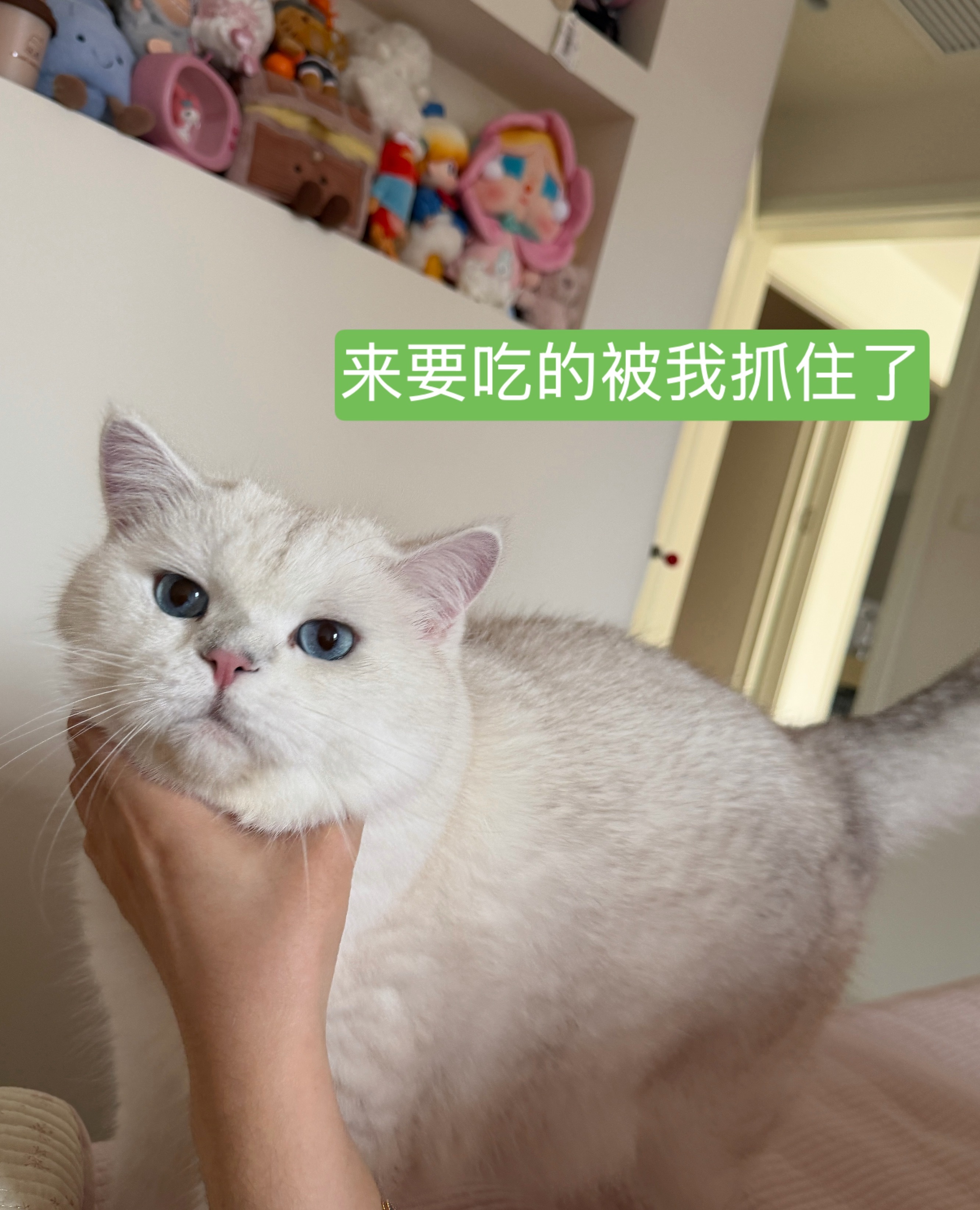倒霉孩子又在去北京前一天感冒了今天开始发烧怎会如此啊！！明天睡到自然醒再去天津吧