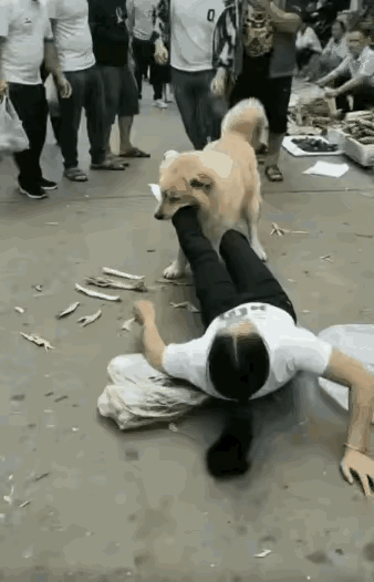 不懂就问，
这个是真的吗？