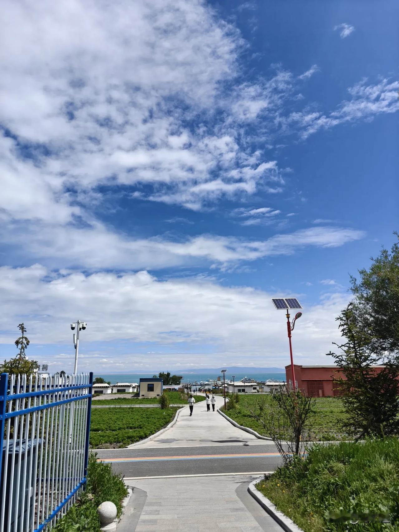青海湖
​
​其实我们受骗了那么多年
​这哪里是湖
这​是最靠近天空的大海
​看