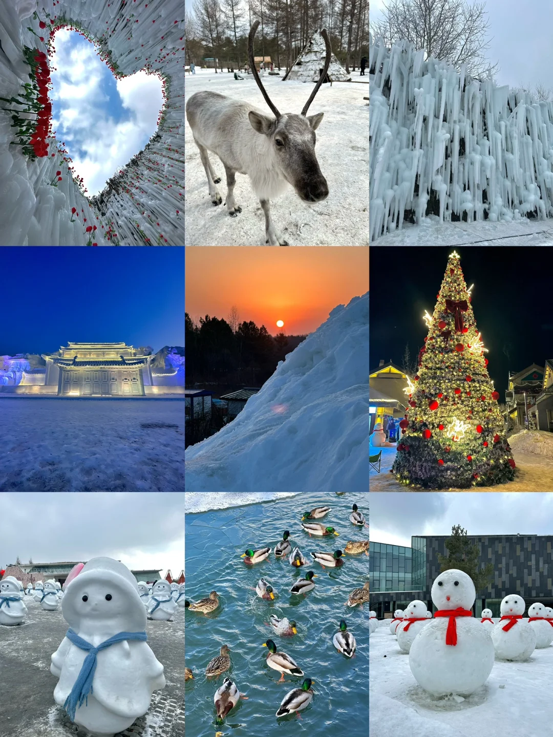长白山这地方 除了滑雪我是真不会再来👋