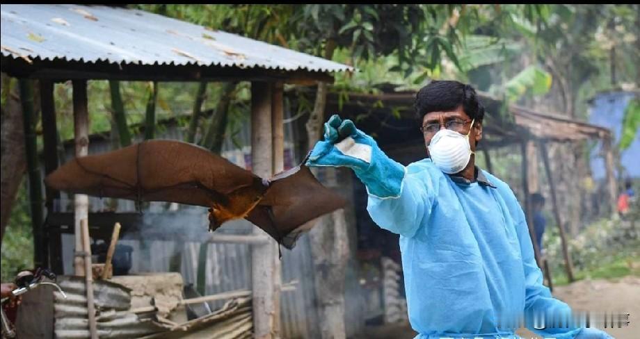 这是一场比核武器更安静，但比子弹更致命的