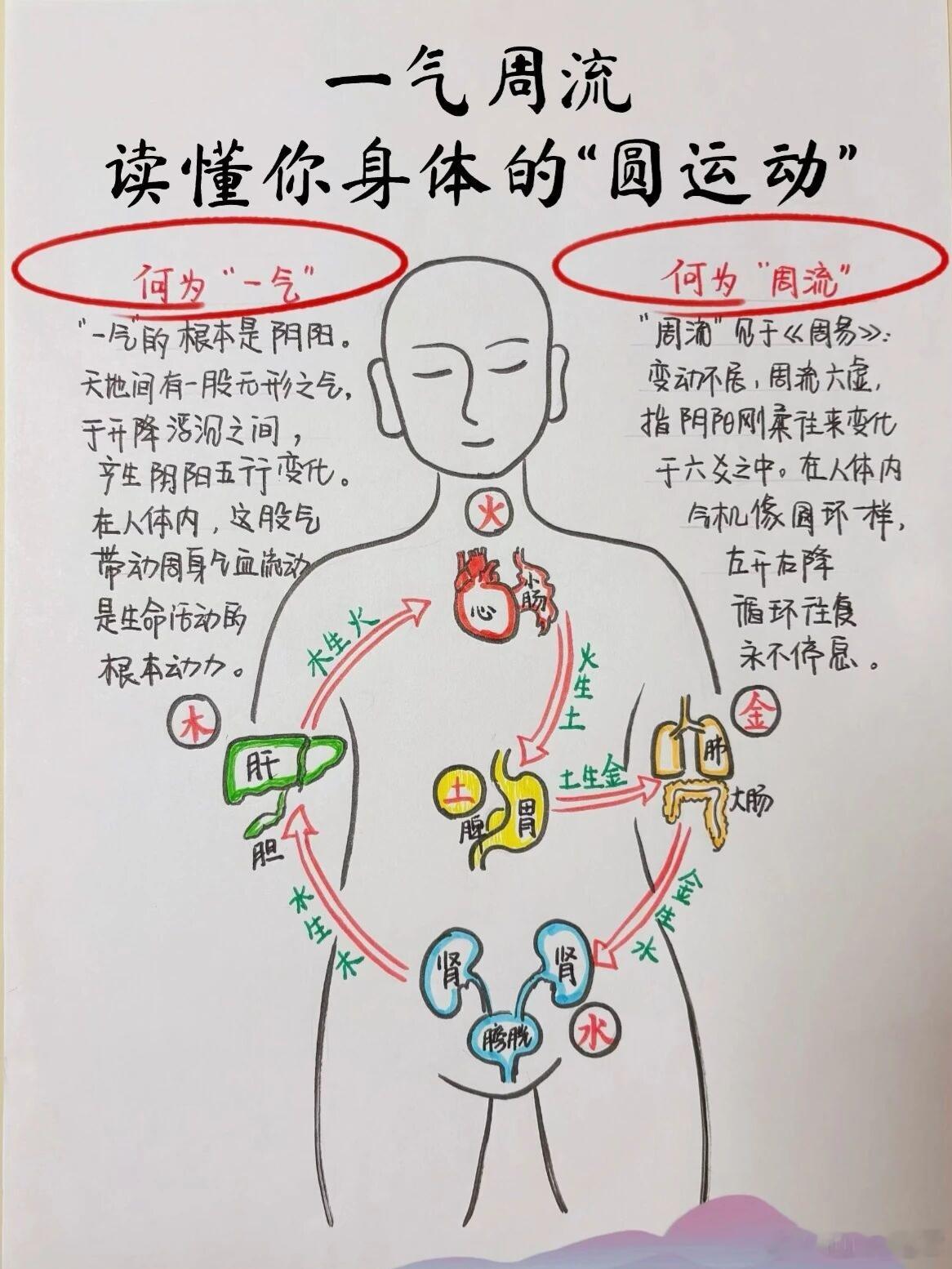 一岁两月宝宝鞘膜积液（水疝）完整保守调理方案先说关键西医参考：孩子仅1岁2个月，