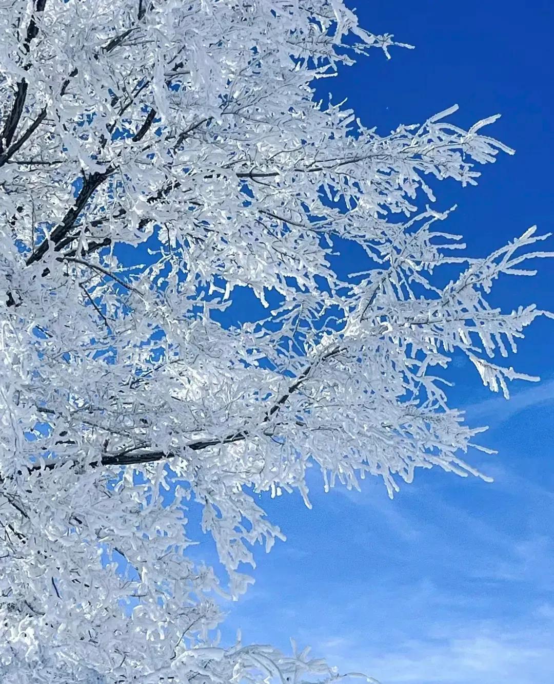 瑞雪，人们通常把岁末下的雪称为瑞雪，即这时下的雪能为人们带来吉祥的意思。故而有瑞