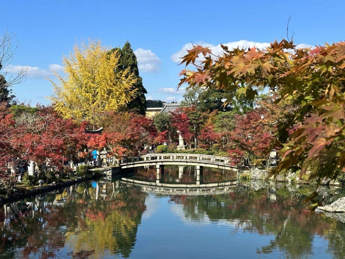 PLOG.91[微风][微风]盐盐的日常翻看相册到了枫叶季的旅游景象，天气不冷不