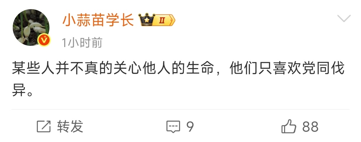 小蒜苗这是在反思和忏悔自己那群人带过的车祸节奏呀 ​​​