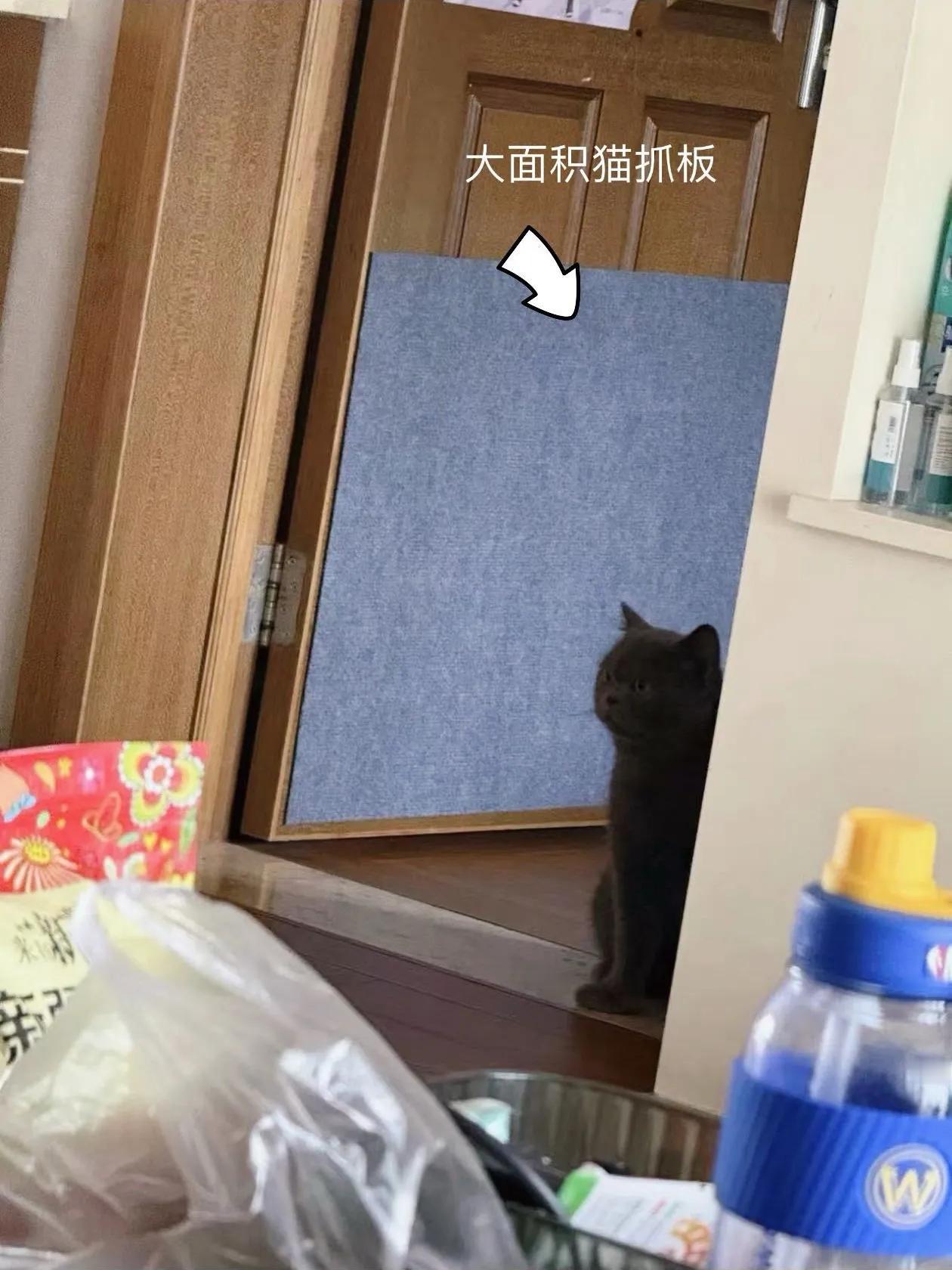 蓝宝在新家的生活～妈妈给宝宝买了各种营养品，玩具，爸爸给买了猫条。大前天哥哥没看