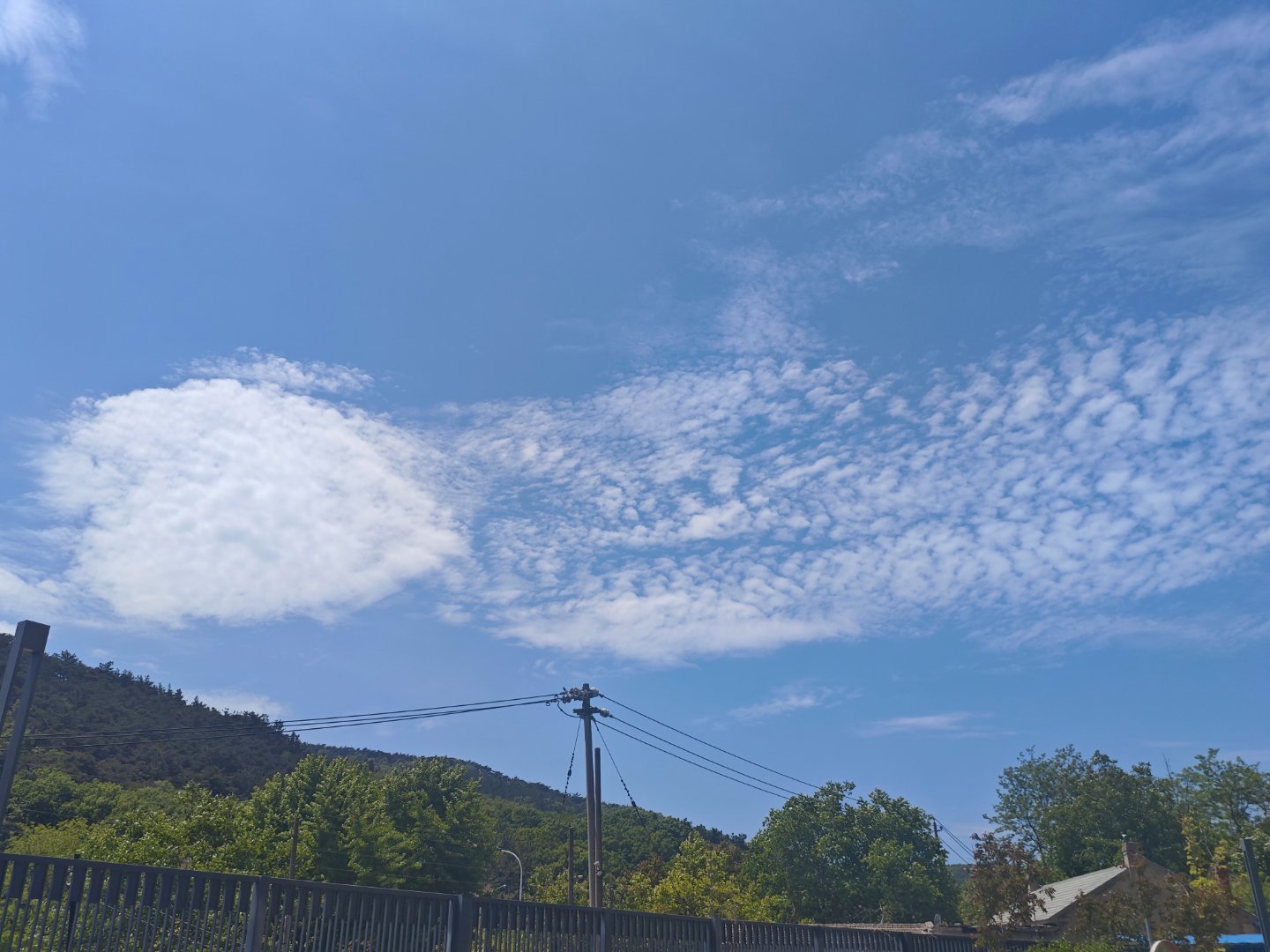 “人到底能感受多少回夏天 ”👒🌲我们奔赴过无数个夏日，有晚风裹挟蝉鸣的傍晚，