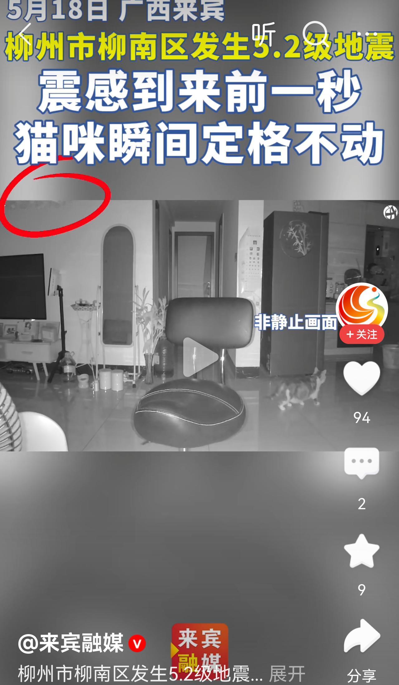 万物有灵
