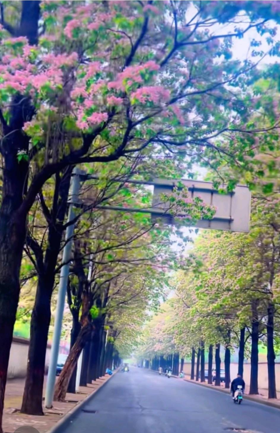 春是温暖，阳光灿烂；春是浪漫，鸟语花香；春是美满，彩蝶双双；春是团圆，鸿雁归来；