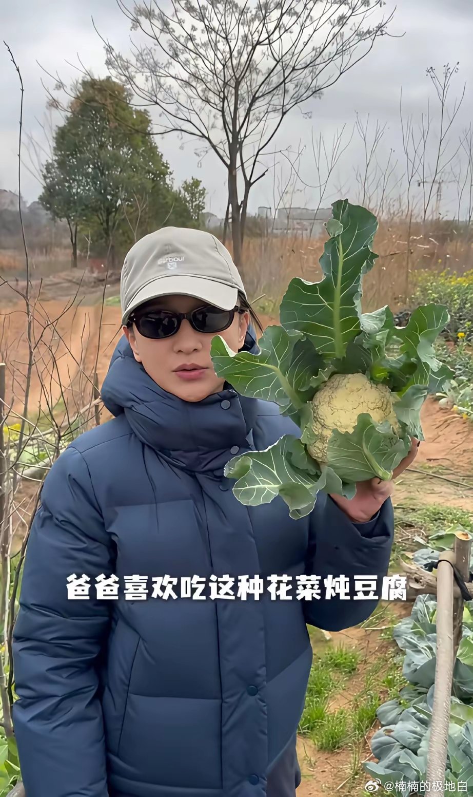 大明星回了家，也逃不过必须要去地里打卡一下，去摘菜的快乐！！这两天的周迅别提多开