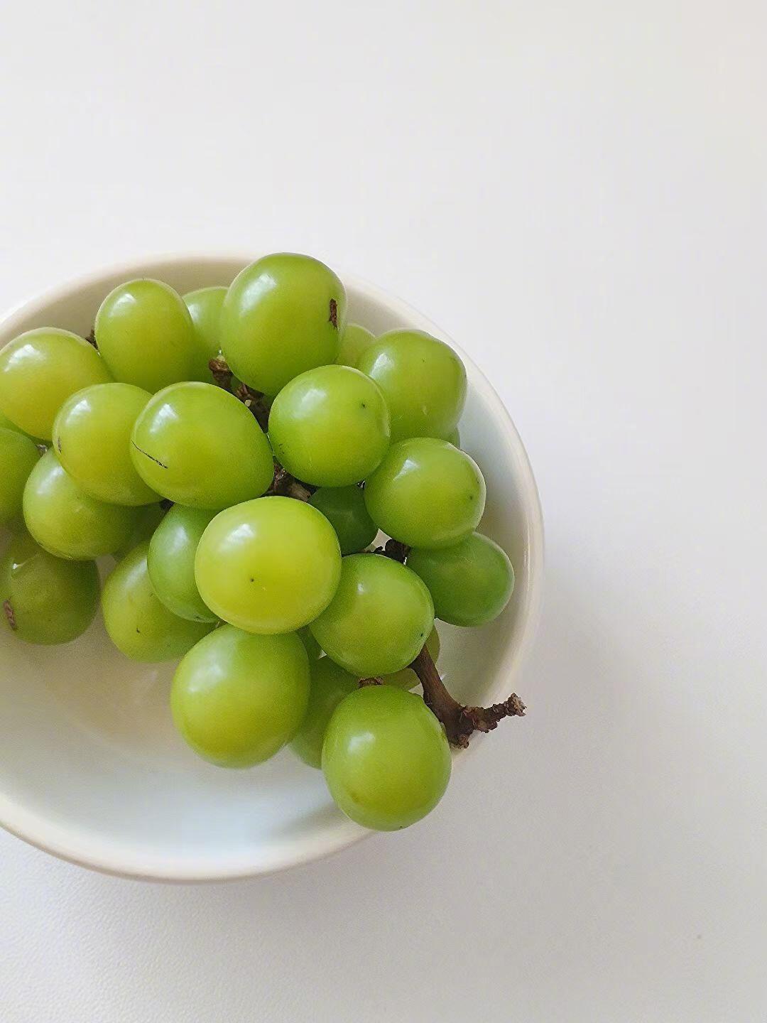 ⁺♡̶₊⁺⑉ 𝐩𝐥𝐨𝐠𝐠𝐠 🍇📸幸福总在平凡日子里发着芽🌱 