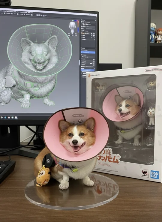 小柯基也想拥有一个属于自己的手办啦～