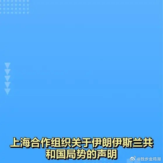 《上海合作组织关于伊朗伊斯兰共和国局势的声明》上海合作组织关于伊朗伊斯兰共和国局