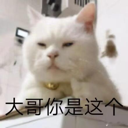 埃文凯尔夸中国人挺牛 “挺牛”这个词简直太带感了，如果埃文凯尔把它带到国外，想必