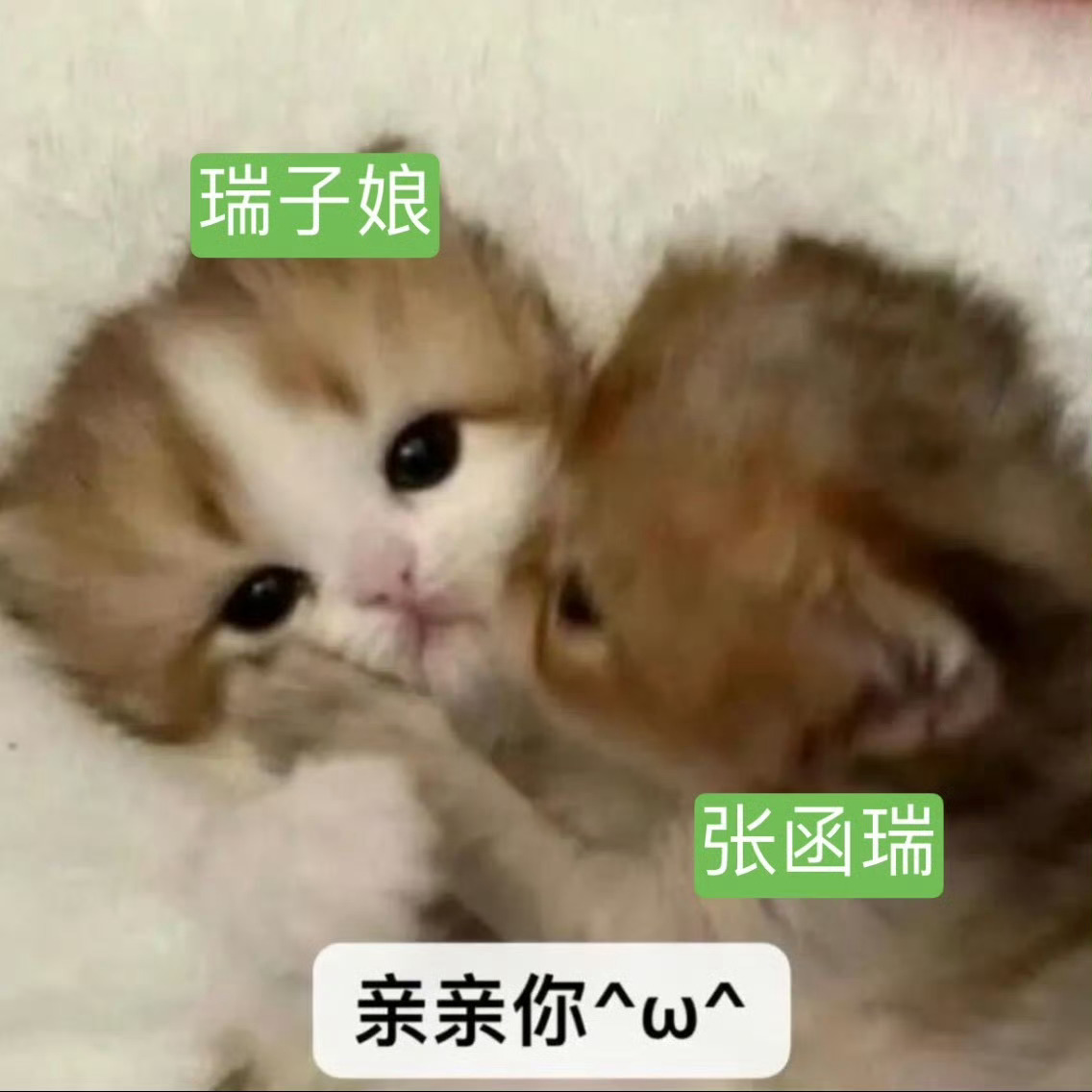 张函瑞mua昨天差点甜鼠我了张函瑞好宠粉阿！！！ 