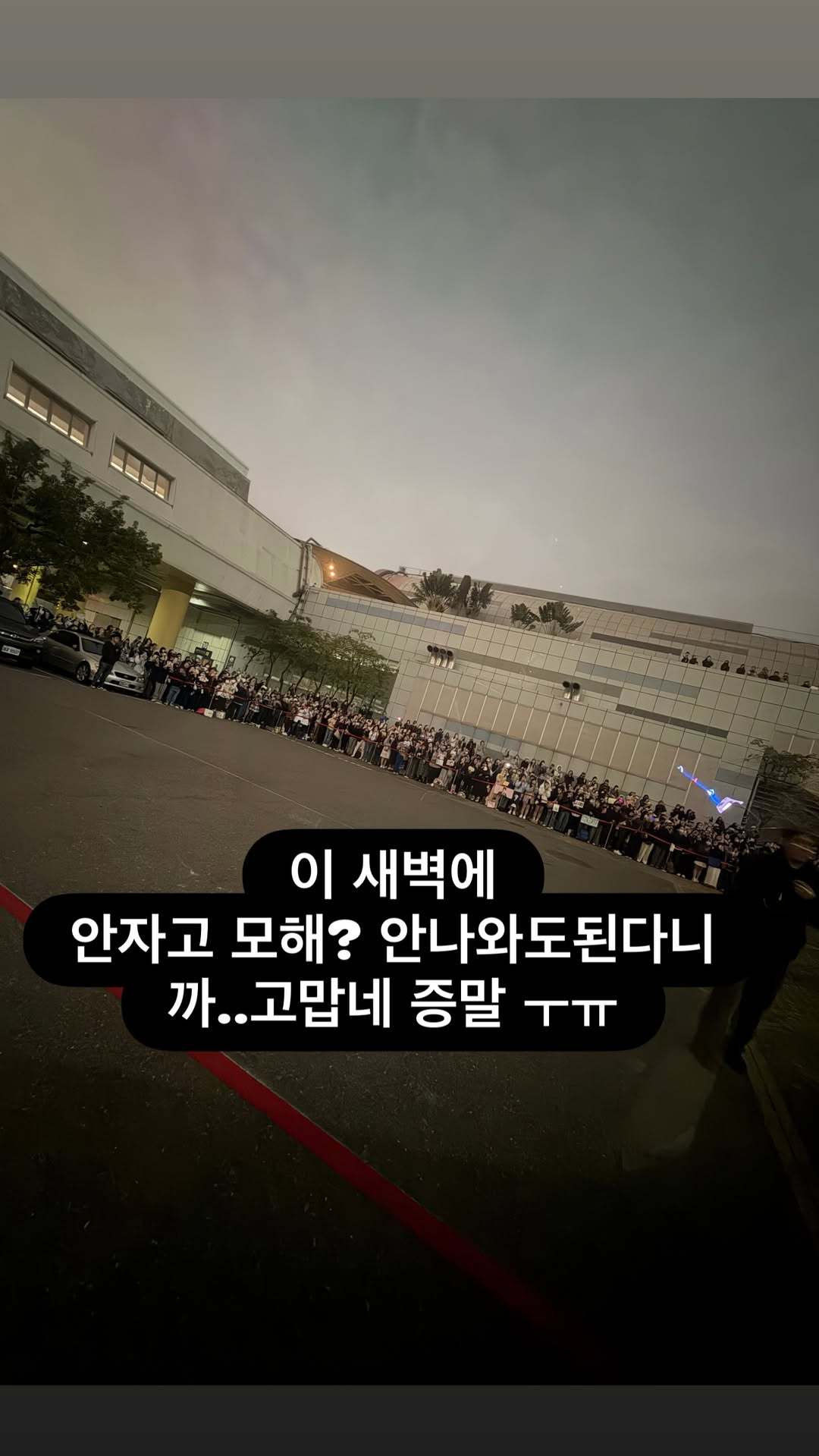 “CB百蓝_。260126利特 ins story更新：大家凌晨为什么都不睡觉?