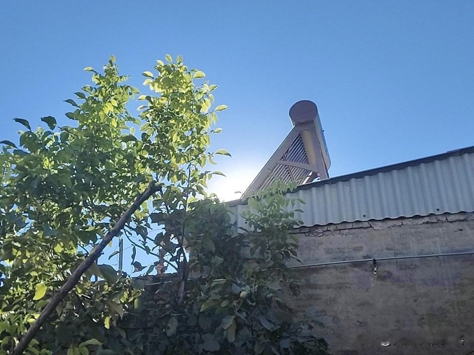 这几天，又回老家了，伺候百岁的奶奶。

奶奶眼不花耳不聋，生活能够自理。只是我们