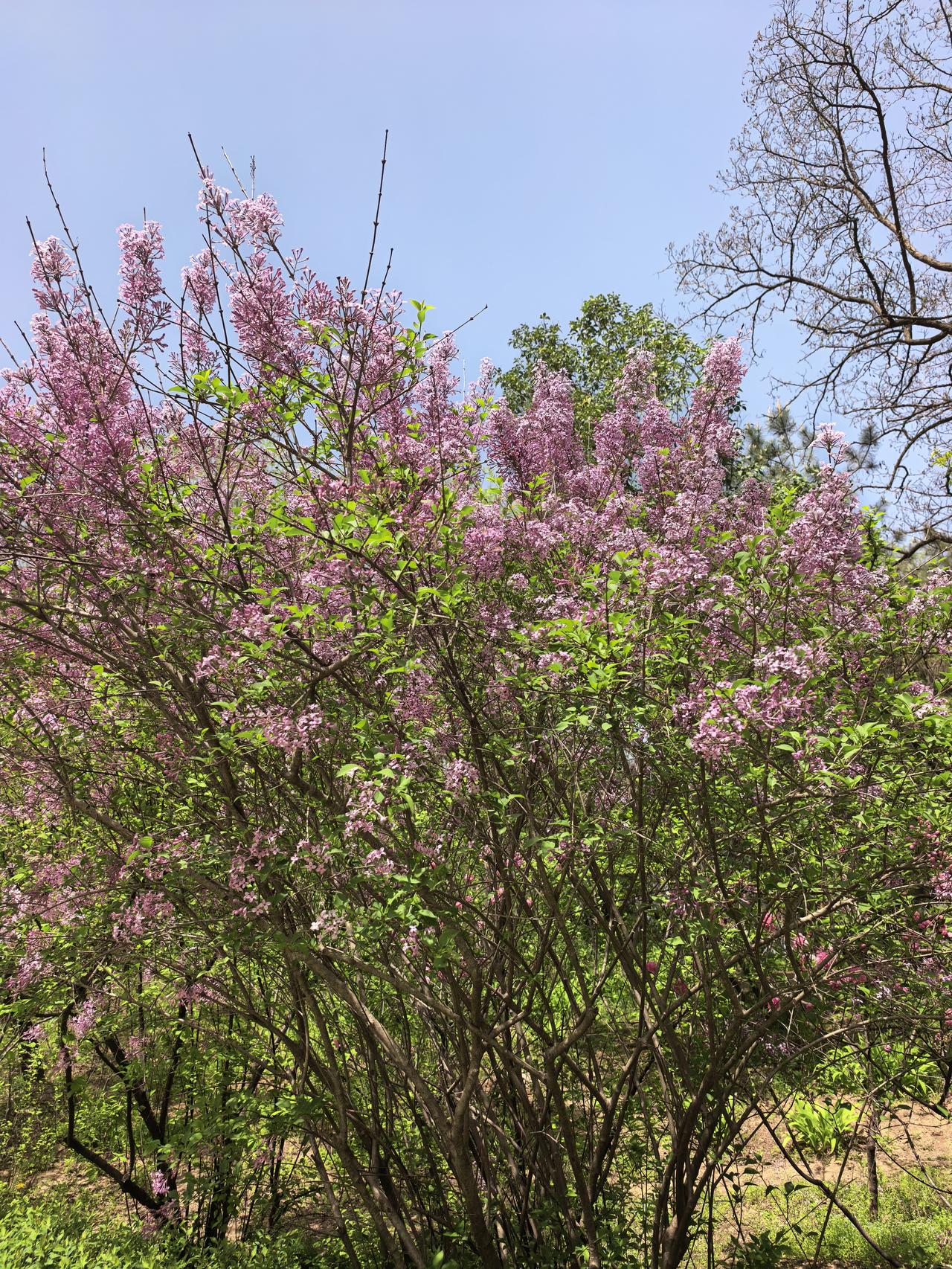 新易盛A股本周走势分析及展望

一、本周走势回顾

2026年4月7日至10日，