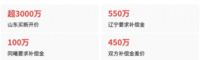 陶汉林降薪、连签王岚嵚等强援，山东男篮争四只差外援？