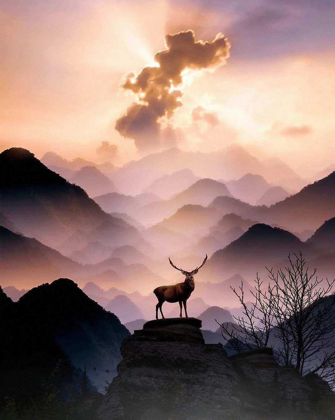 今天爱人问我，为什么美国总是那么铁定了心地帮助以色列？其实这个问题很好回答，因为