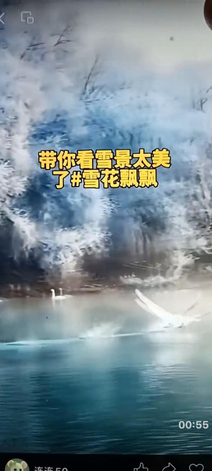 带你看雪景太美了，雪花飘飘。