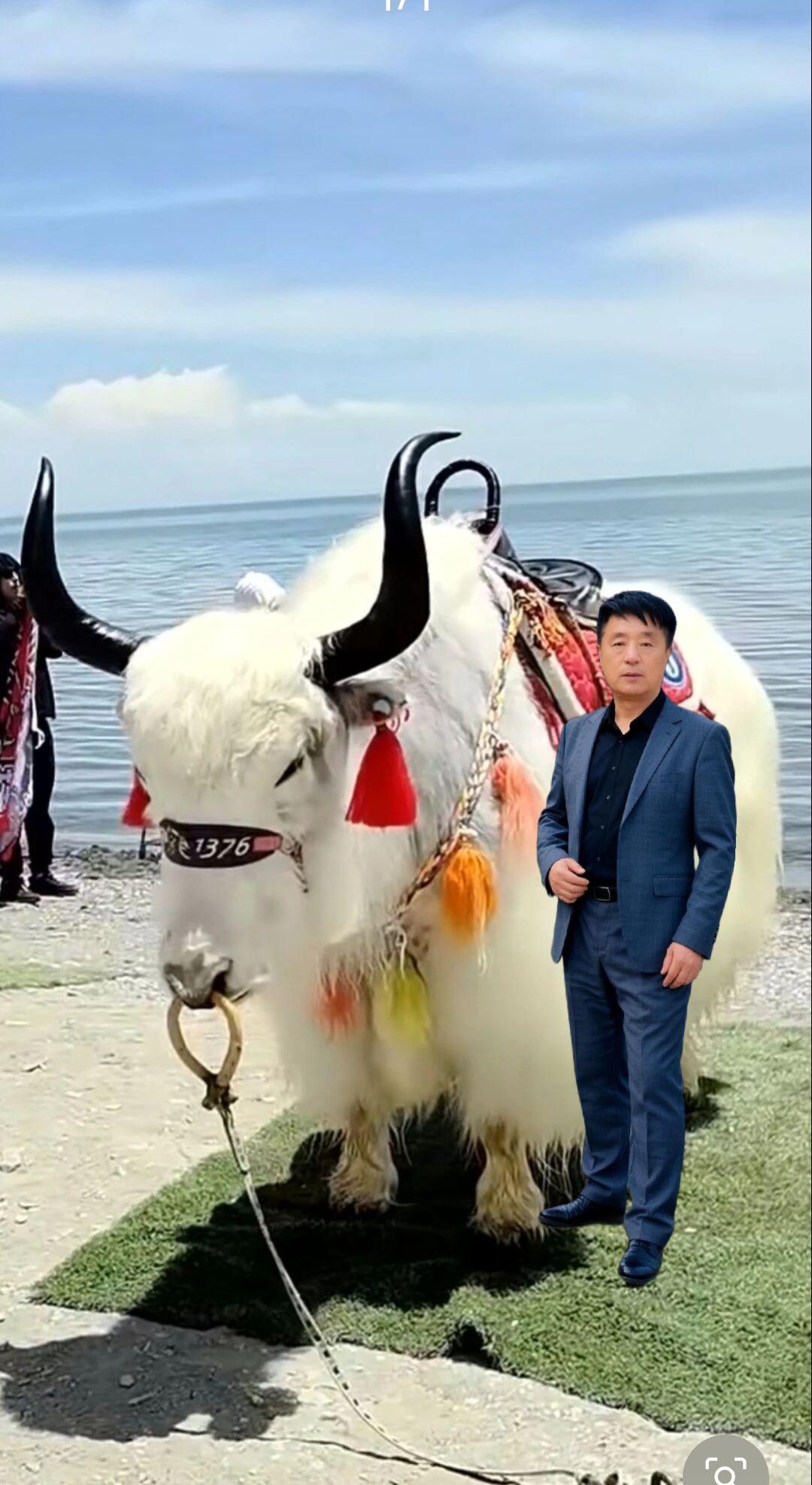一首歌分享大家一一