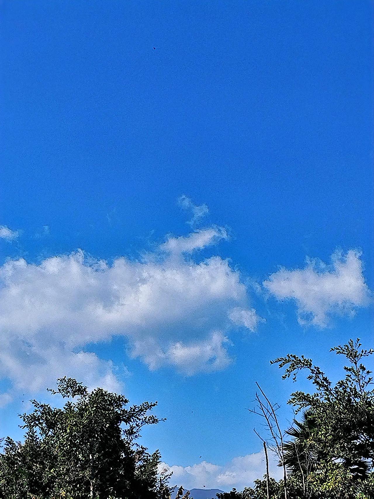 蓝天白云，绿树成荫，心旷神怡！🌞🌳🍃