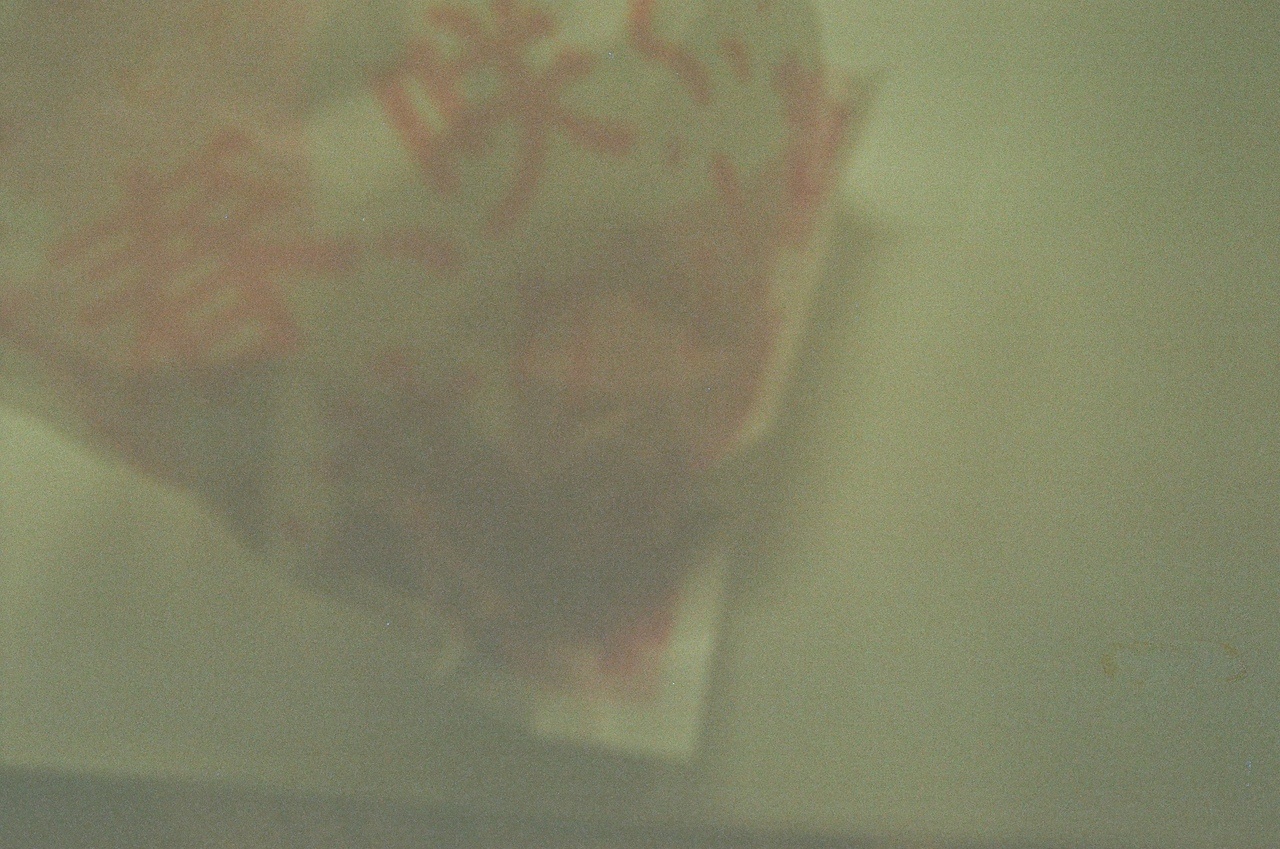 たむらほの「フィルム現像した　ミーグリありがとうございました！🌊」 