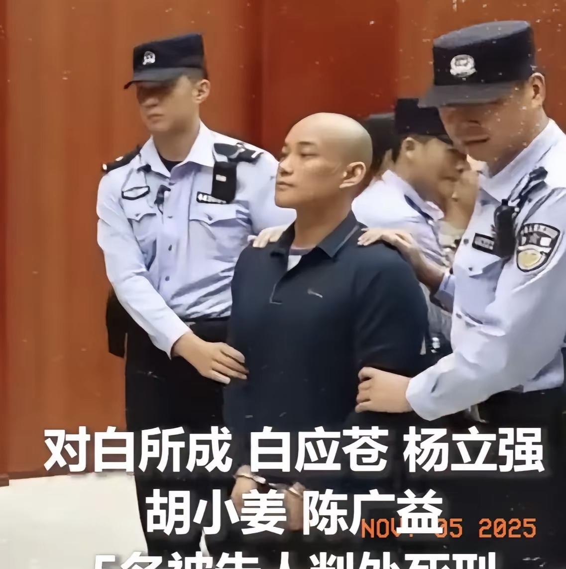 白应苍被宣判死刑那一刻，大家注意到没？别人遇上这结局早慌了神，他倒好，腰杆挺得笔
