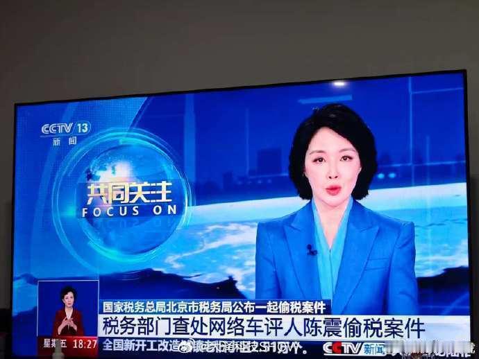 陈震偷税案都上央视了……料越爆越多，凡事经不起较真儿啊，后续估计还有瓜