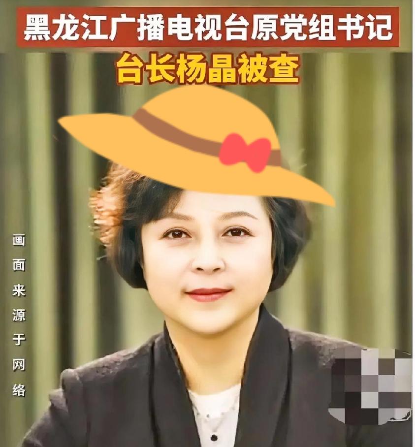 五一假还没开始

黑龙江广电系统就传出了重磅消息：杨晶被查了。

这位63年的大