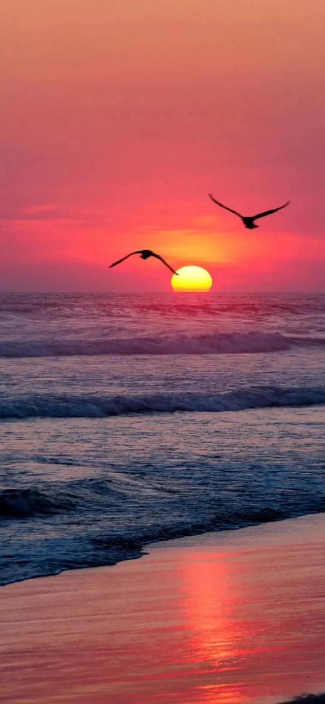 小运播报：2026年1月31日，星期六，农历腊月十三 (乙巳年己丑月乙巳日)，法