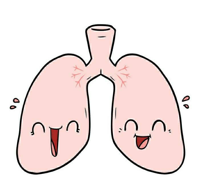 没有肺虚就不会有肝郁，柴胡疏肝百次，抵不过桔梗宣肺一次

一提肝气郁结，大家第一