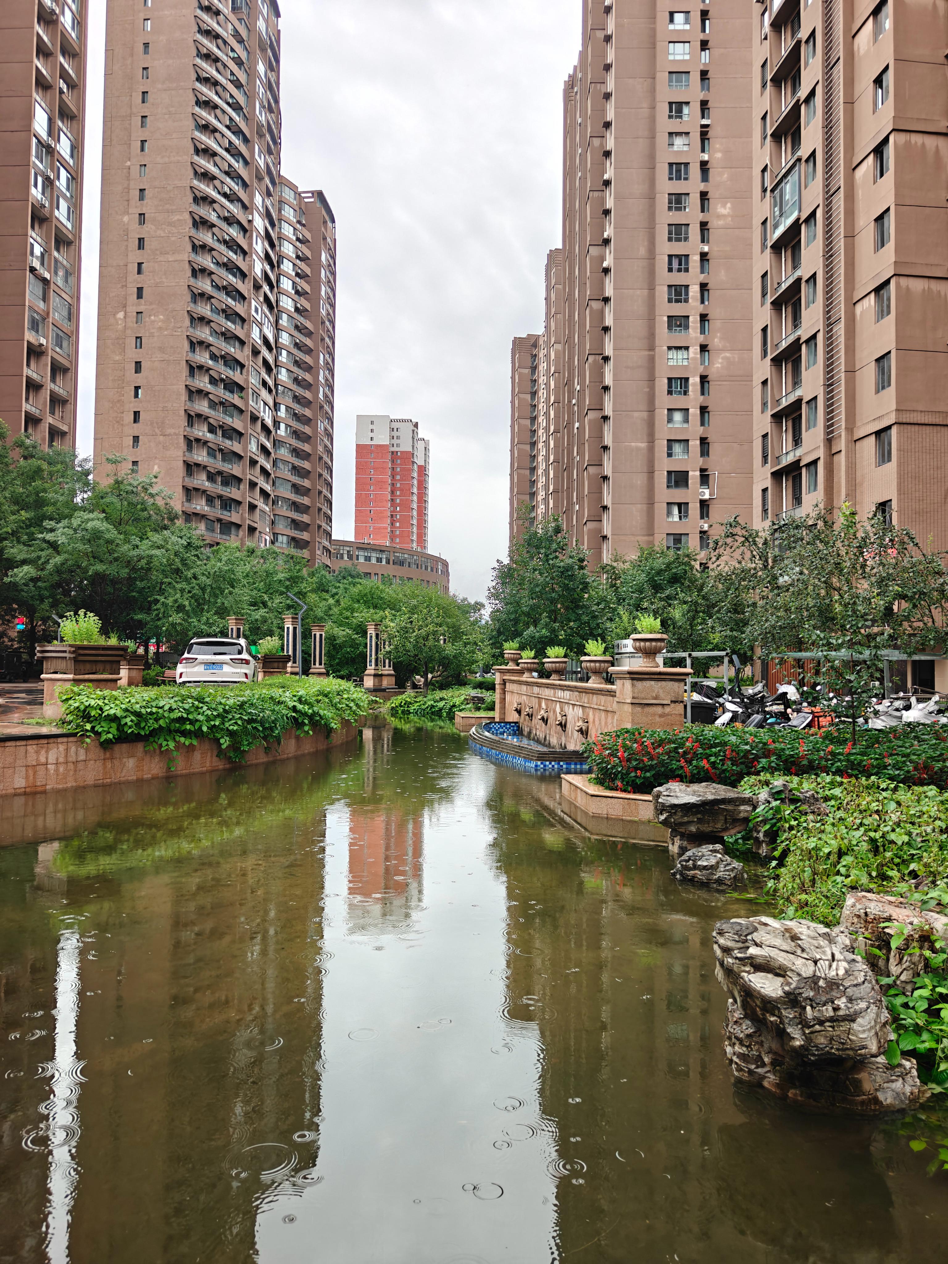 一宿的雨，趁着雨神午休出来走走 拍拍 透透气下午还不知啥情况呢随拍