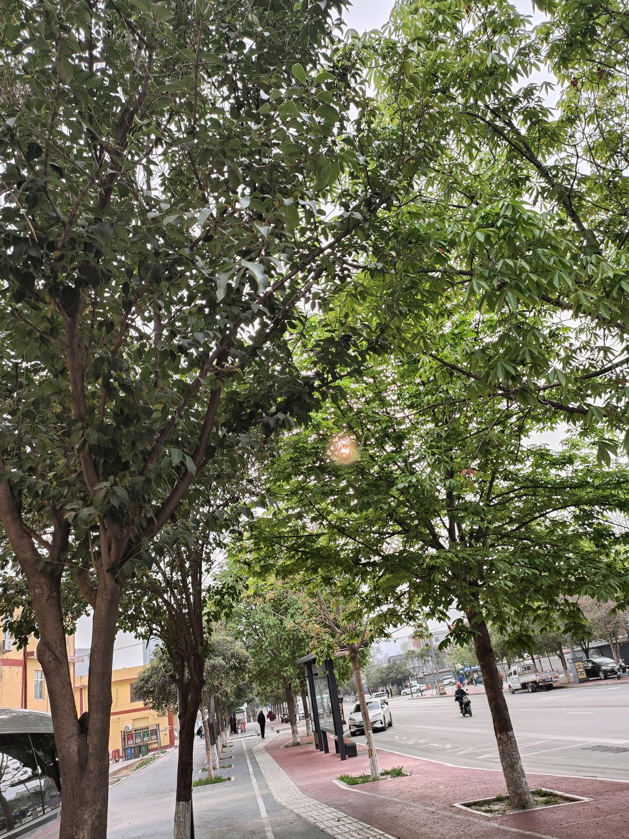 生活没有如果，只有结果；尽力了，就好
 
人这一辈子，走着走着就明白一个理：生活