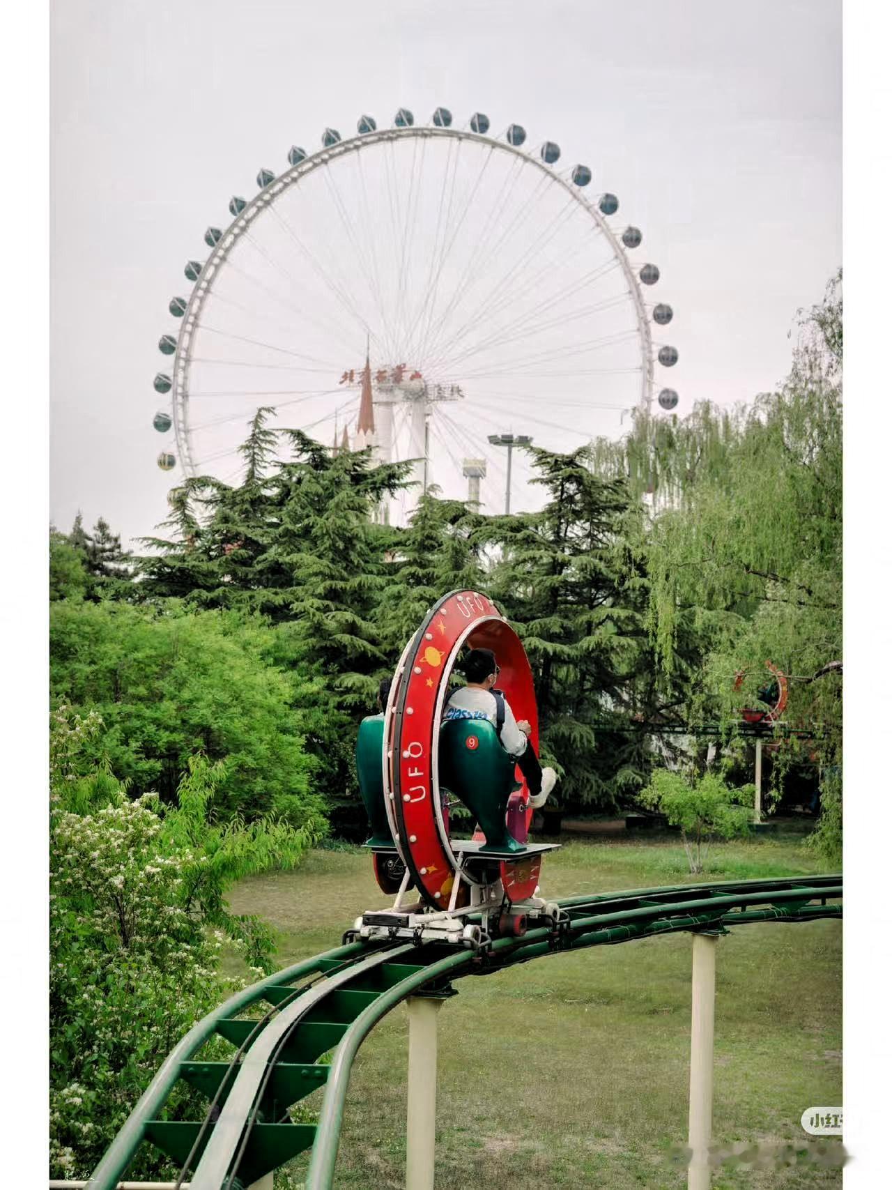 今日分享随手拍照片