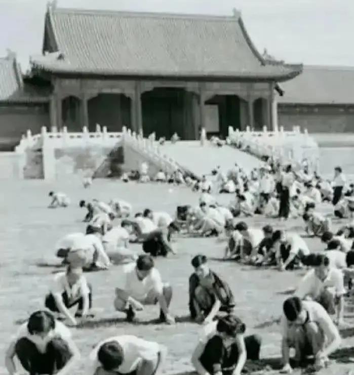 1949年，国家组织了7万人在北京故宫里清理垃圾，历时9个月清理出清末以来近40