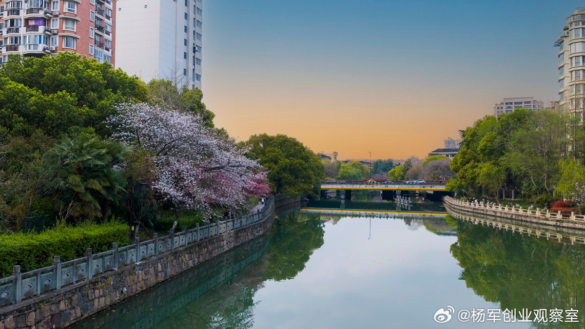 为何大多数老板觉得AI没用？因为你把它用错了地方。多数老板用AI的挫败感，来自于